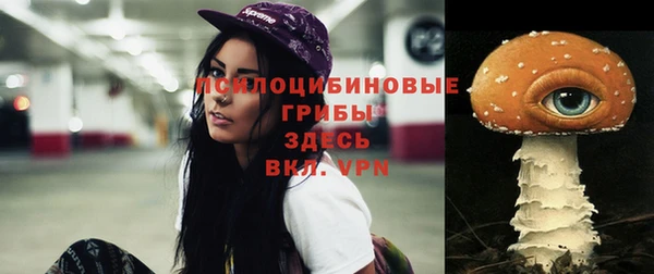 a pvp Горнозаводск