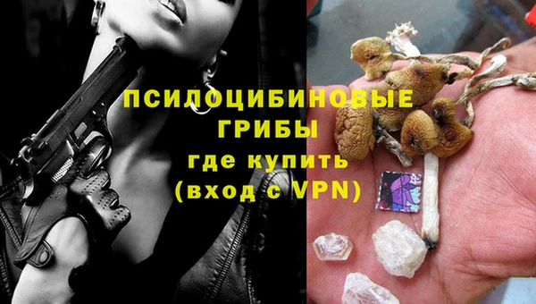 a pvp Горнозаводск