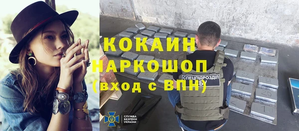spice Дмитриев