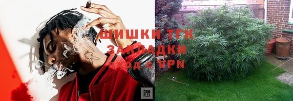 эйфоретик Гусев