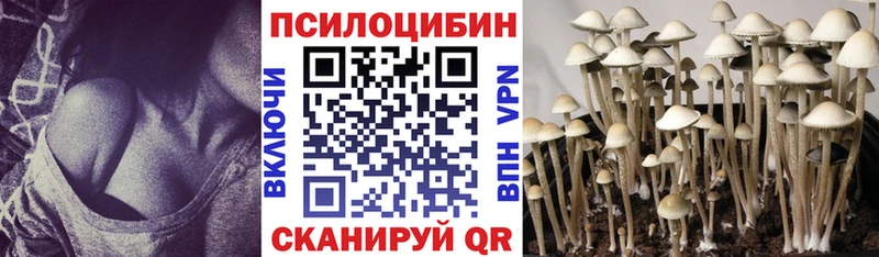 Галлюциногенные грибы Psilocybine cubensis  Дмитровск 