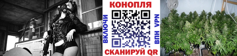закладка  Дмитровск  МАРИХУАНА семена 